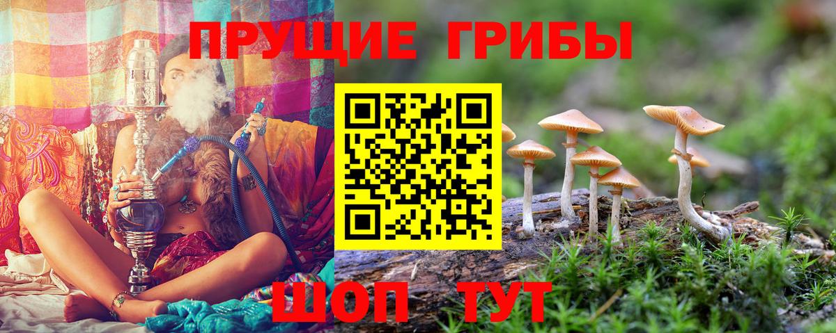 Псилоцибиновые грибы Psilocybine cubensis Трёхгорный